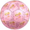 Pallone da Calcio Winx Club Taglia 5, Adatto per Partite Indoor e Outdoor, un Regalo Adatto a Tutti.