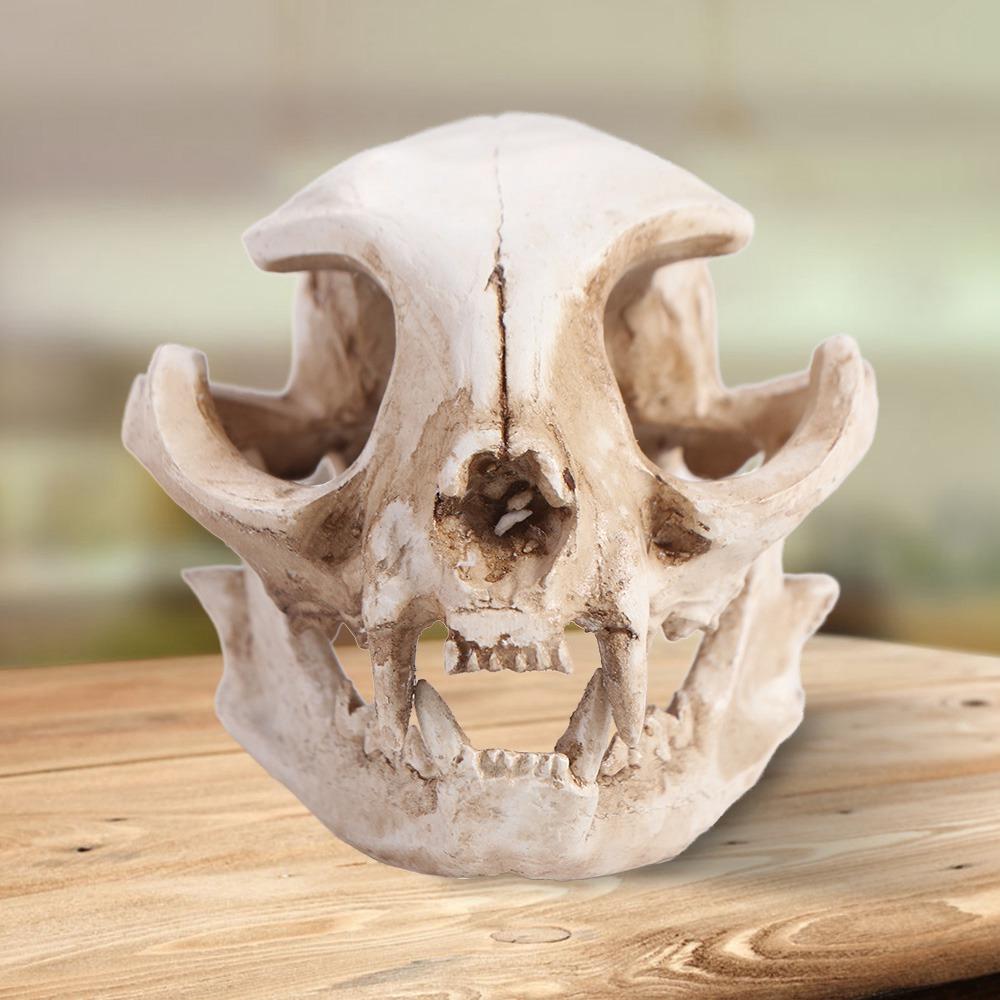 Funny Animal Skull Ornament Scary Artificial Skull Head Halloween Cat Skull Model Haunted House