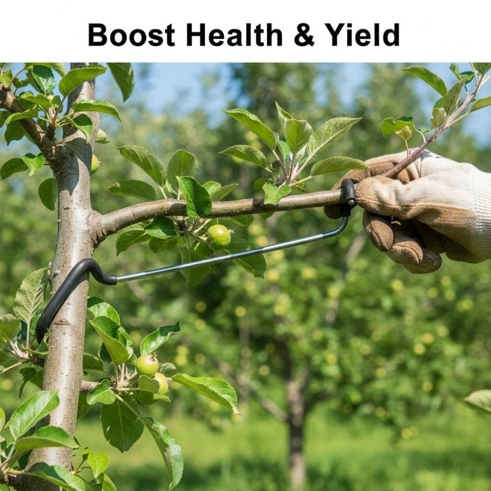 10 PCS Rubber Hooks Branch Bender Metal Tree Branch Spreader Tree Shaping Limb Spreader  Fruit Trees