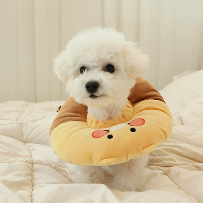 Chunsik s pet neck collar single