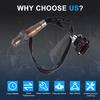 New Downstream Lambda O2 Oxygen Sensor 12571768 For Chevrolet Captiva 3.2L 2008 2009 2010 Car Accessories
