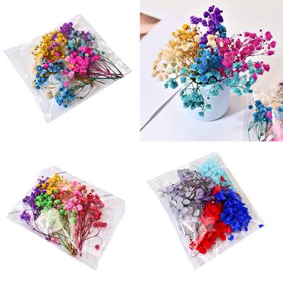 Konzervované Gypsophila a Hortenzie v Pryskyřici Obklopený Kytice Věčné Květiny Dekorace pro Domov Svatba Dárek