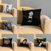 Rels B Skinny Flakk Cushion Cover Soft Reversible  Durable Pillow Cover  MultiScene Use for Home  Car Daily Comfort