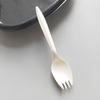 Biodegradable Corn Starch Disposable Spoon