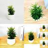 Fake Succulent Plant Pot With Pvc Material For Home Decor And Office Display