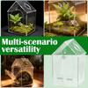 Clear Jumping Spider Enclosure Acrylic Tarantula Terrarium with Feeding Port and Ventilation Holes Small Reptile Feeding Box