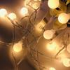 Outdoor String Lights LED Round Ball Shape Colorful String Light Ornament for Outdoor Camping Party