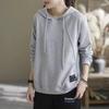 Korean Artistic Hooded Sweatshirt: Stylish, Comfortable, Loose-Fit Casual Pullover for Women (2025)