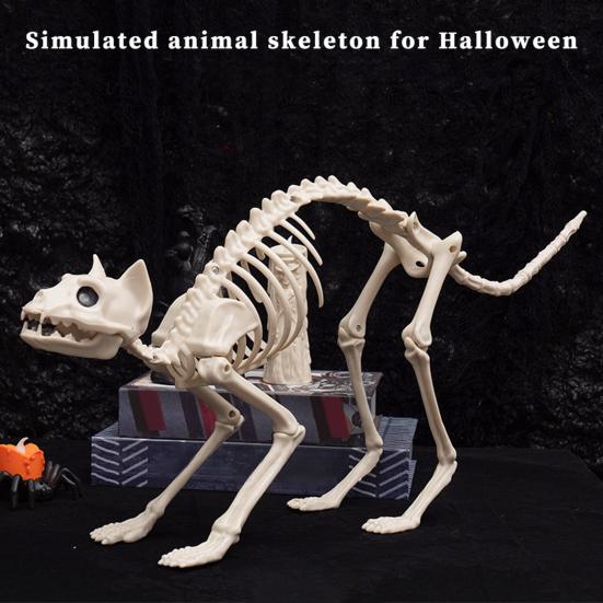 Halloweenská dekorace kočky kostry Hororová plastová kostra koťátka Kostní dekorace s pohyblivou čelistí Krk Ocas pro Halloweenskou párty Domácí dvorní dekorace