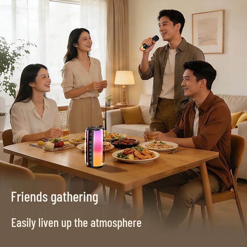 Newmine K19 All-in-One Bluetooth Karaoke Speaker CN plug (adapter included)