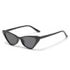 2023 New Cat Eye Small Frame Sunglasses Unisex UV Protection Fashion Trendy Vintage European American Style Outdoor Sun Glasses Shades