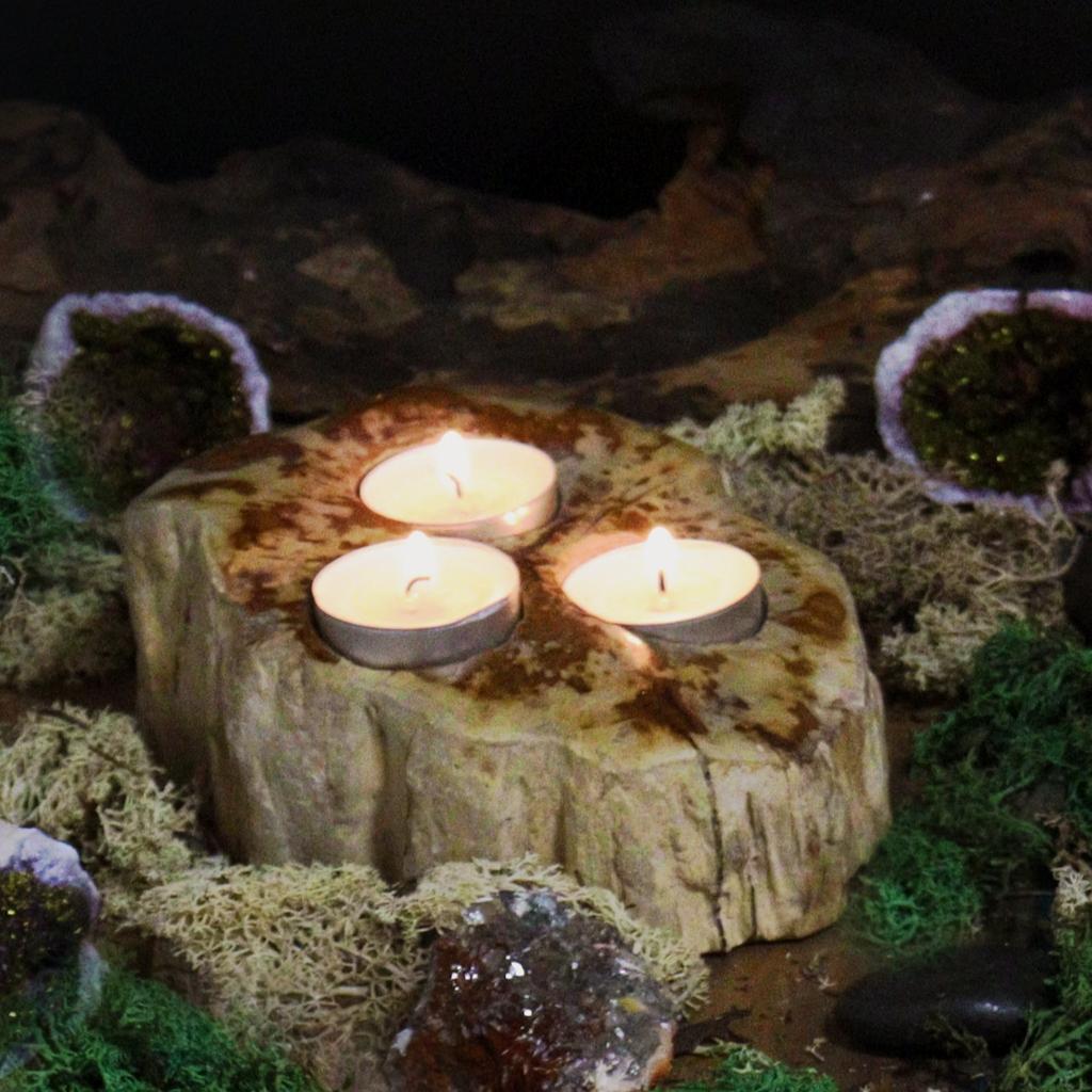 Petrified Wood Tealight Candle Holders Set of 3
