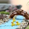 5 stk Resin Duck Model Ornament Miniatyr Hage Sukkulent Bonsai Dukkehus Dekor