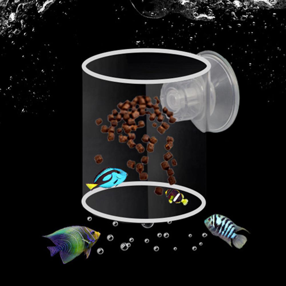 Transparent Acrylic Fish Food Feeding Ring Anti-drift Feeding Cup Fish Feeder With Strong Suction Cup