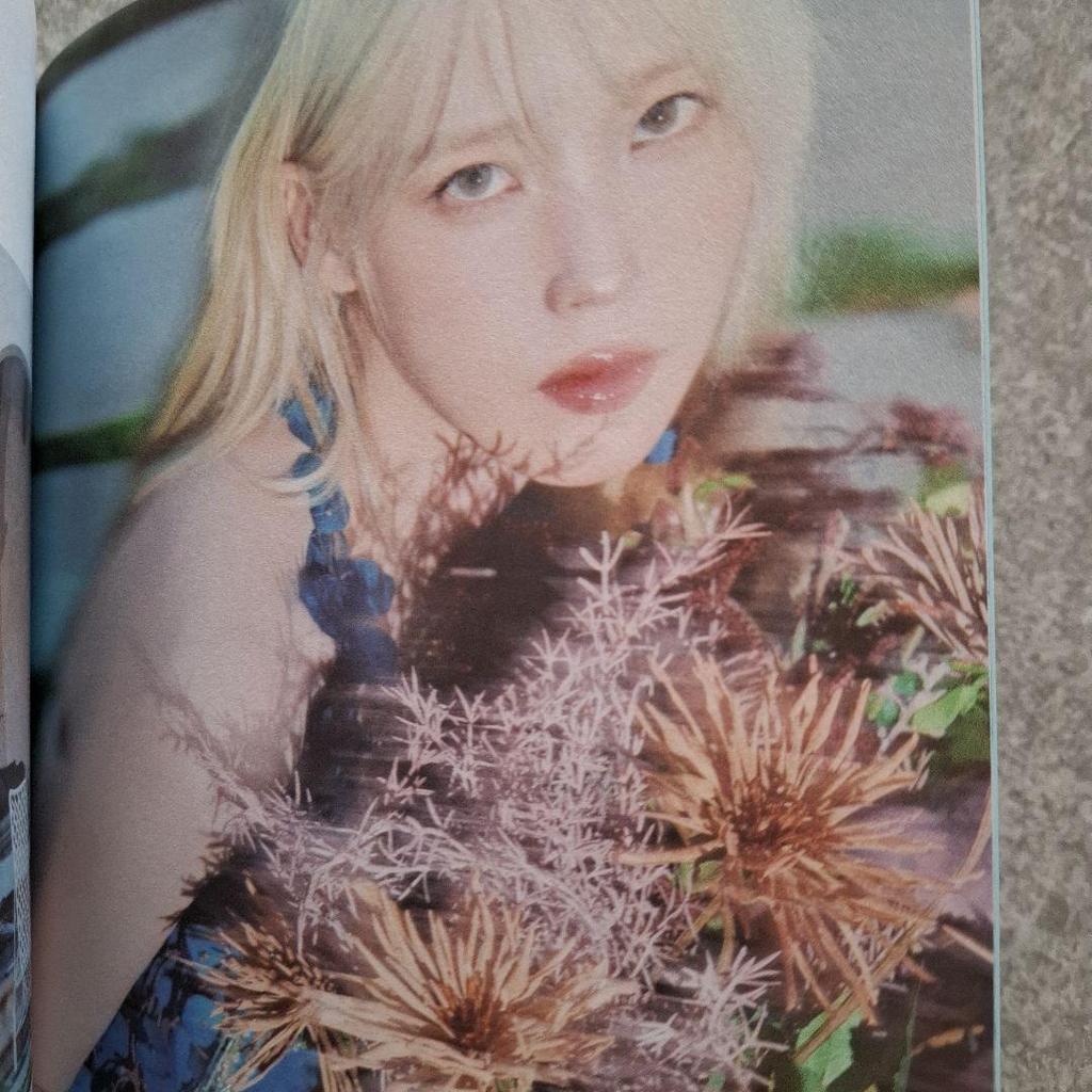 [USED] Used IU THE WINNING Mini Album