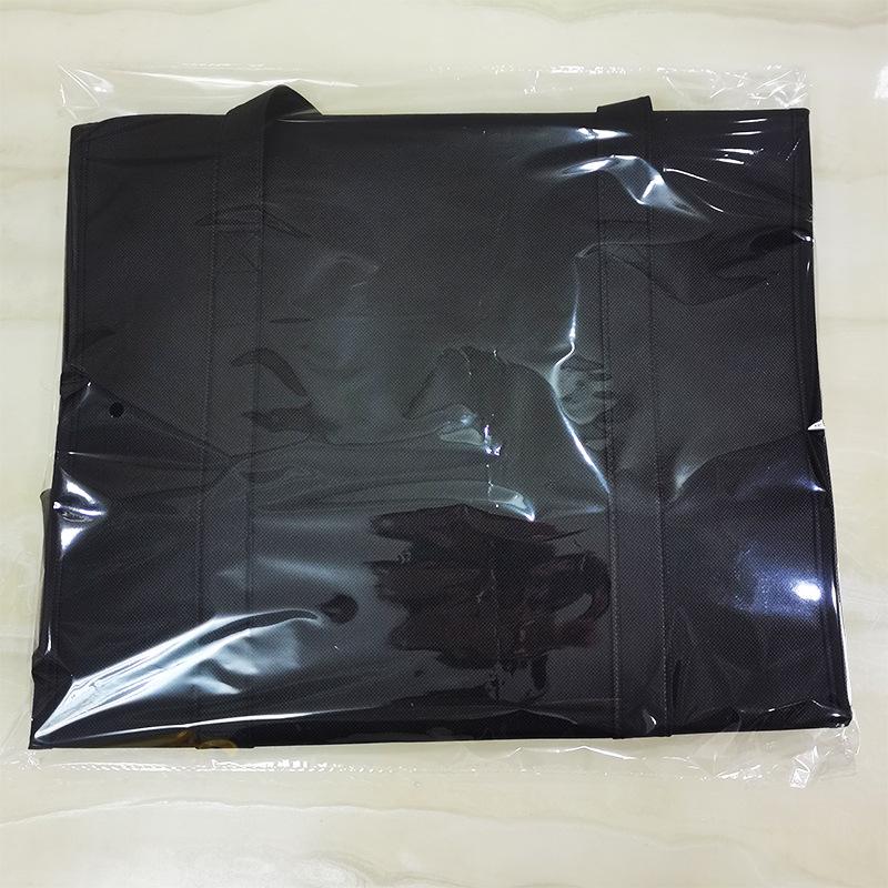 Large Capacity Double Zipper Insulated Picnic Ice Pack Bag – Black Non-woven Fabric