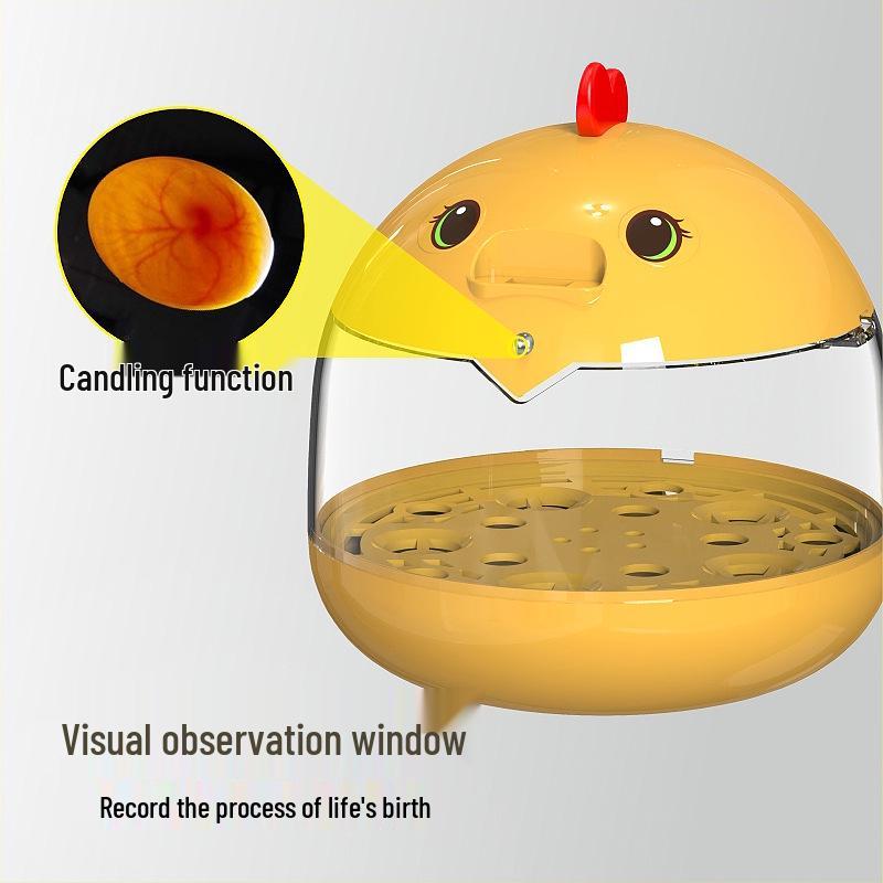 Automatic Mini Egg Incubator for Kids - Ideal for Quail, Chick, and Bird Eggs