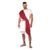 Comfortable Arabian Toga Costume For Halloween Role Play Party With Breathable Fabric And Design