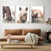 Horse Poster Print Modern Horses In The Field Wall Art HD Picture Canvas Painting Living Room Mural Home Decoration Gift Cuadros