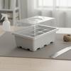 12 Compartment Seed Starting Tray Transparent Lid Mini Greenhouse