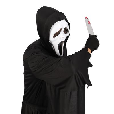 Disfraces de carnaval para hombre
