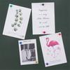 Magnet Pushpin Office Pushpin Strong Neodymium Magnet Cone Magnet Super Magnet Refrigerator Sticker Magnetic Pushpin