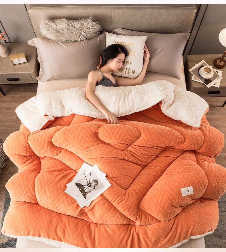 Thickened Lambswool Cotton Quilt - Warm, Double-Sided for Single Dormitory, Ideal for Winter, Spring, and Autumn