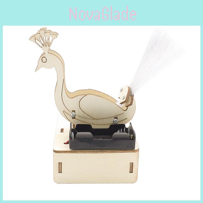 Peacock Opening Diy Science Experiment Wooden Material Customizable Handmade Toy
