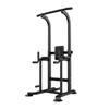 Chuangli Shidai No-Drill Home Pull-up & Dip Station