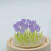 Floral Glow Garden Dome – 20 Tulips – LED USB