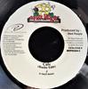 7inch Record SINGER J - Cute MHPD26043 Mad House 2002 Jamaica Reggae, Ska & Dub Used