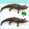 Pvc Crocodile Model For Kids Educational Collectors Toy For Classroom Display
