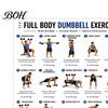 Full Body Workout Guide 2 Pcs Dumbbell Chart Poster, Exercise Strength Training Wall Art Art, Fitness for Home Gym Decoration