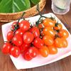 Soft Plastic Simulated Tomato Lifelike Simulation Fruit Bunch Tomatoes Ornament Kitchen Decor