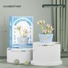 Compatible LEGO Flower Basket & Succulent Building Kit - Educational Toy & Valentine's Teacher Gift