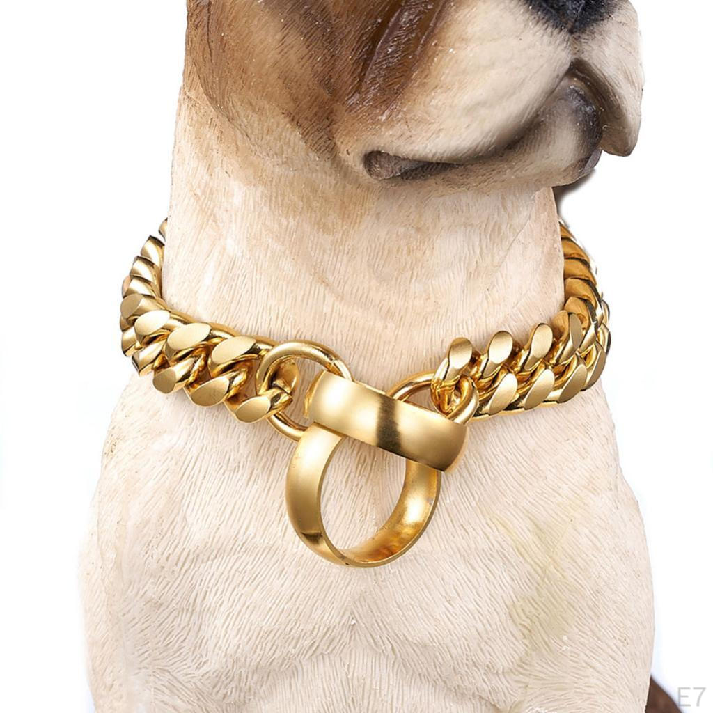 , Durable pour Chiens Petits Moyens Grands & - Acier Inoxydable 316 Tailles au Choix