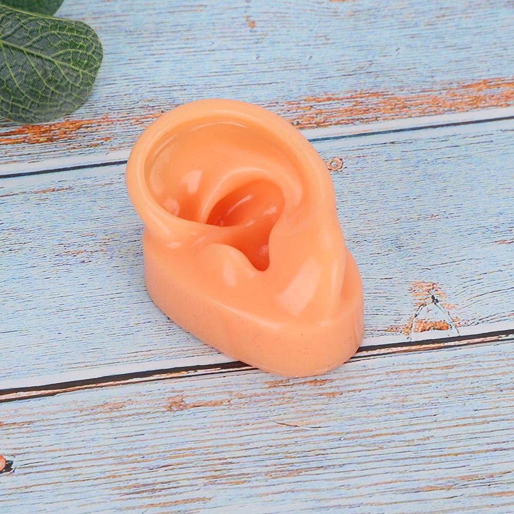 Modello di simulazione dell'orecchio sinistro in silicone per apparecchi acustici ospedalieri