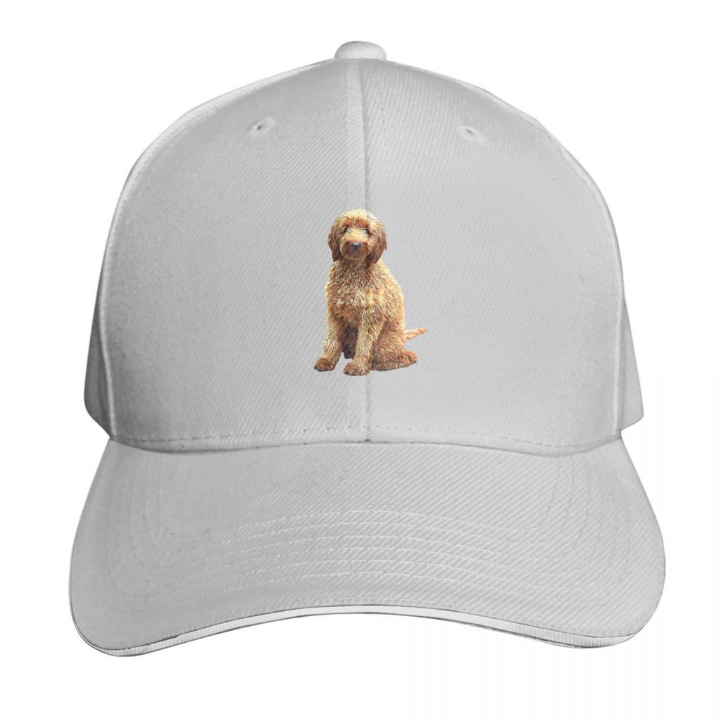 Goldendoodle Golden Doodle Dog Baseball Cap Mountaineering custom Hat Designer Hat Visor Golf Wear Unisex Womens