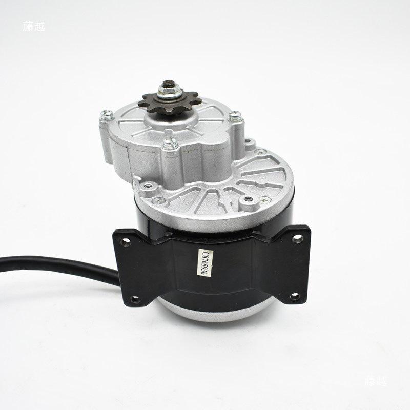 MY1016Z2 DC Brushed Motor: 250W/350W, 12V/24V/36V Modified Bike Reduction Motor