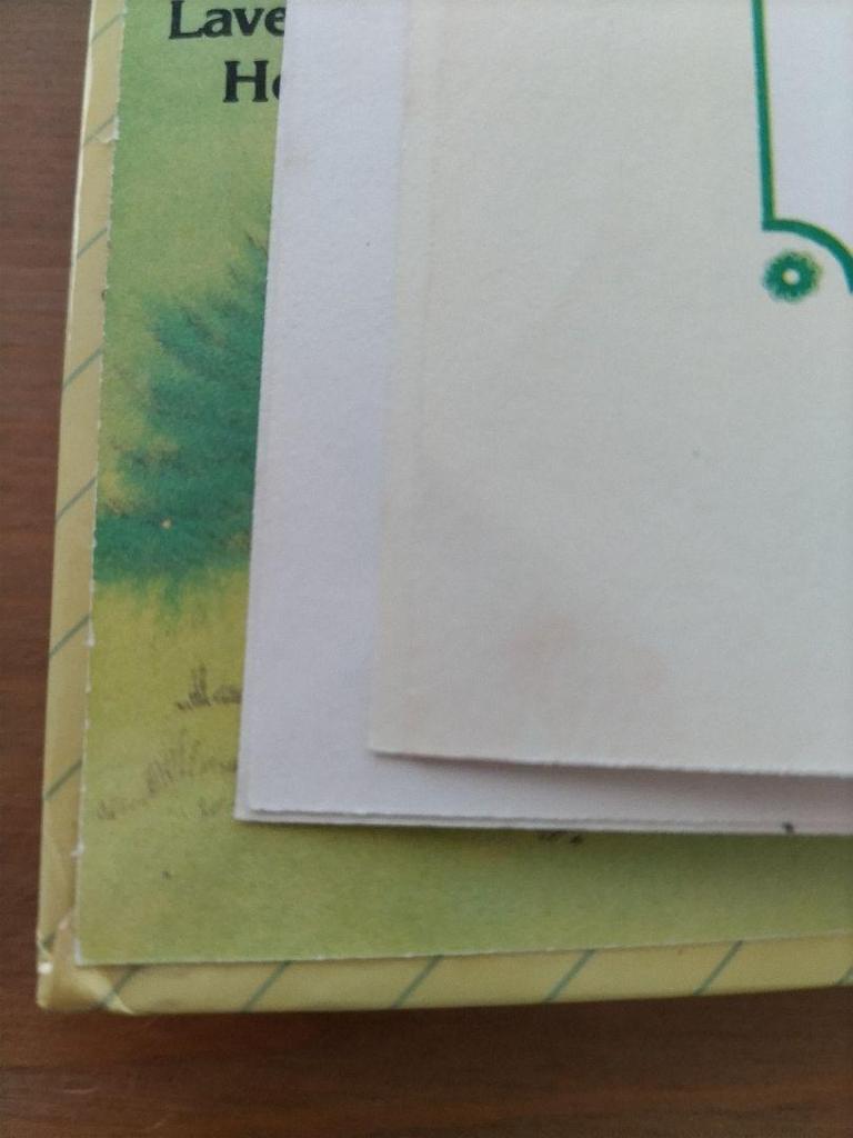 [USED] Cabbage Patch Kids The Great Rescue English Picture Book