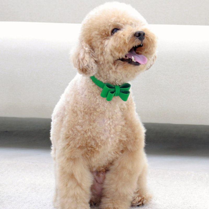 MAISON DE MIU Weiches Schleifen-Halsband Grün