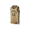 New Nike Pascal Siakam Toronto Raptors Jersey DX8520-746