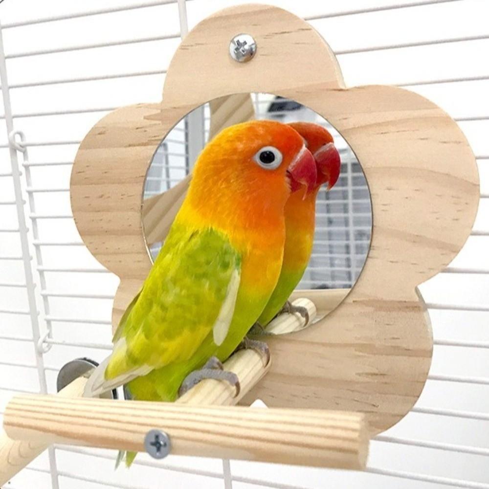 Bite Resistant Bird Flower Mirror Toy Moon-shaped Parrot Swing Stand  For Small Parrot