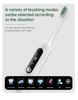 Baolijie SN-P1 Soft Eco Friendly Soft Bristle Sonic Toothbrush Adult De  Dientes Electronic Brosse Electric Toothbrush