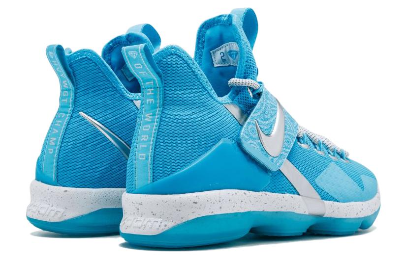 Nike LeBron 14 Ric Flair GS AA3258-404