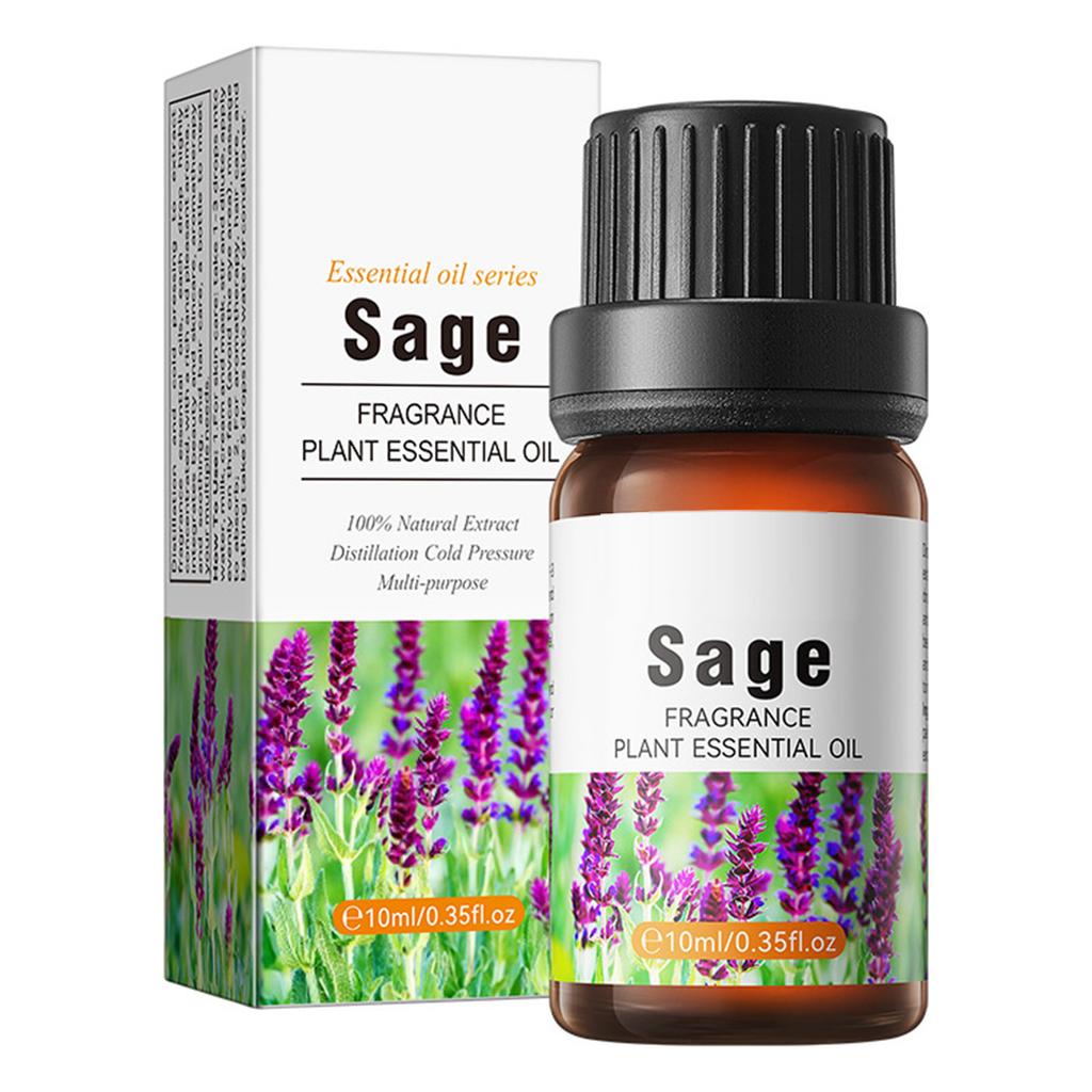 Body Scent Essence Oil, 10ml Moisturizing Care for All Skin Types, Daily Use Fragrance for Women Men, Luxurious Feel