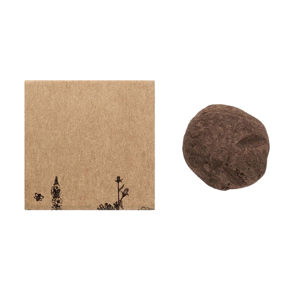MidOcean Bombi II Seed Growing Kit