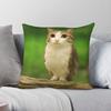 Meowl Katze Eule Meme Kissenbezug Polyester Leinen Samt Muster Reißverschluss Dekorative Kissenhülle Sofa Sitzkissenbezug
