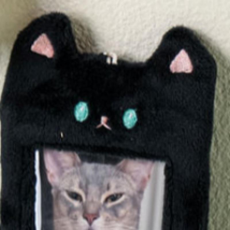 Daiso Soft Character Card Case