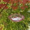 Plastic Hummingbird Feeder Supplies Colorful Bird Bathtub Garden Decor  Outdoor Gardens